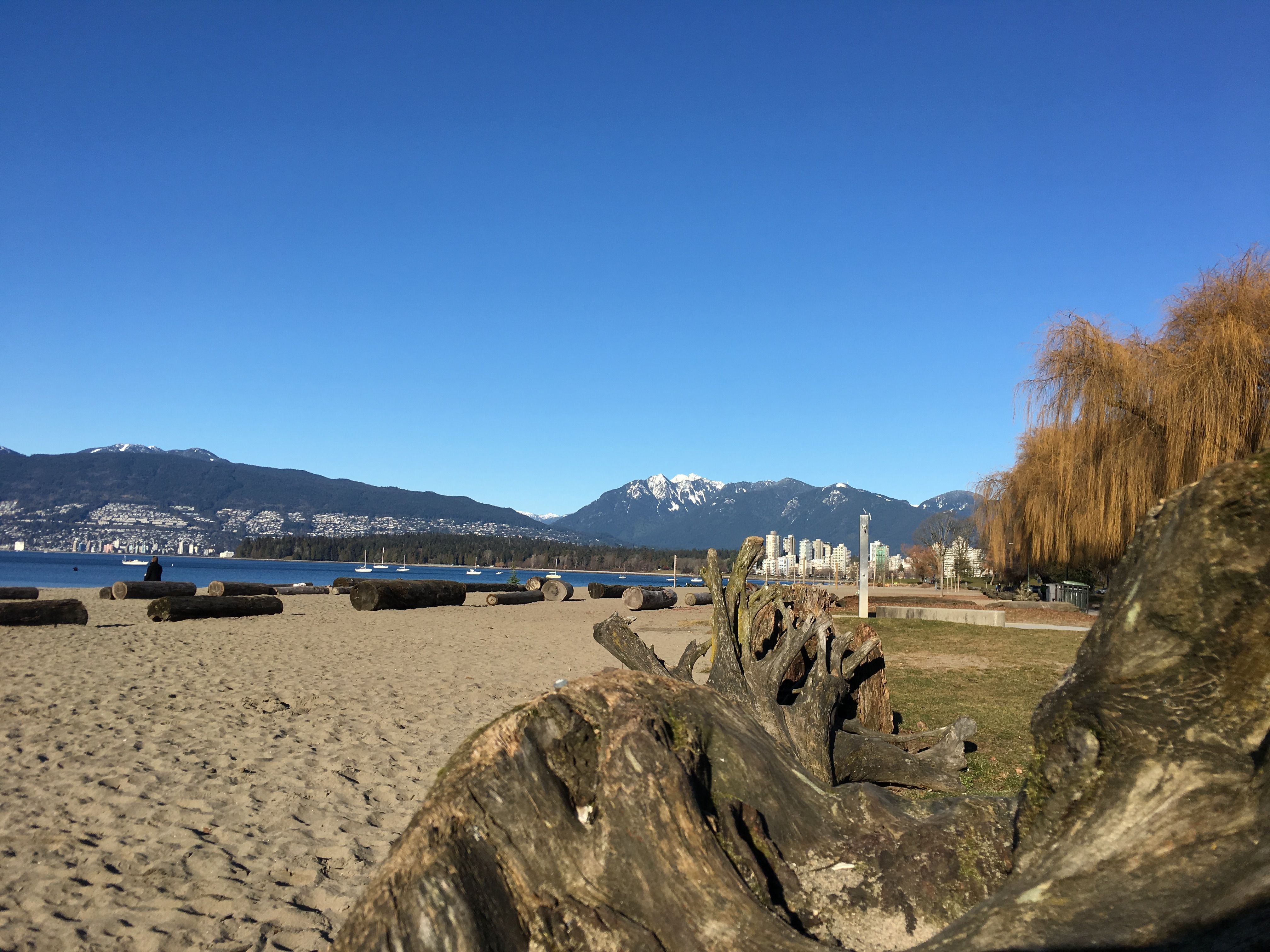 Kitsilano Beach in autumn/winter