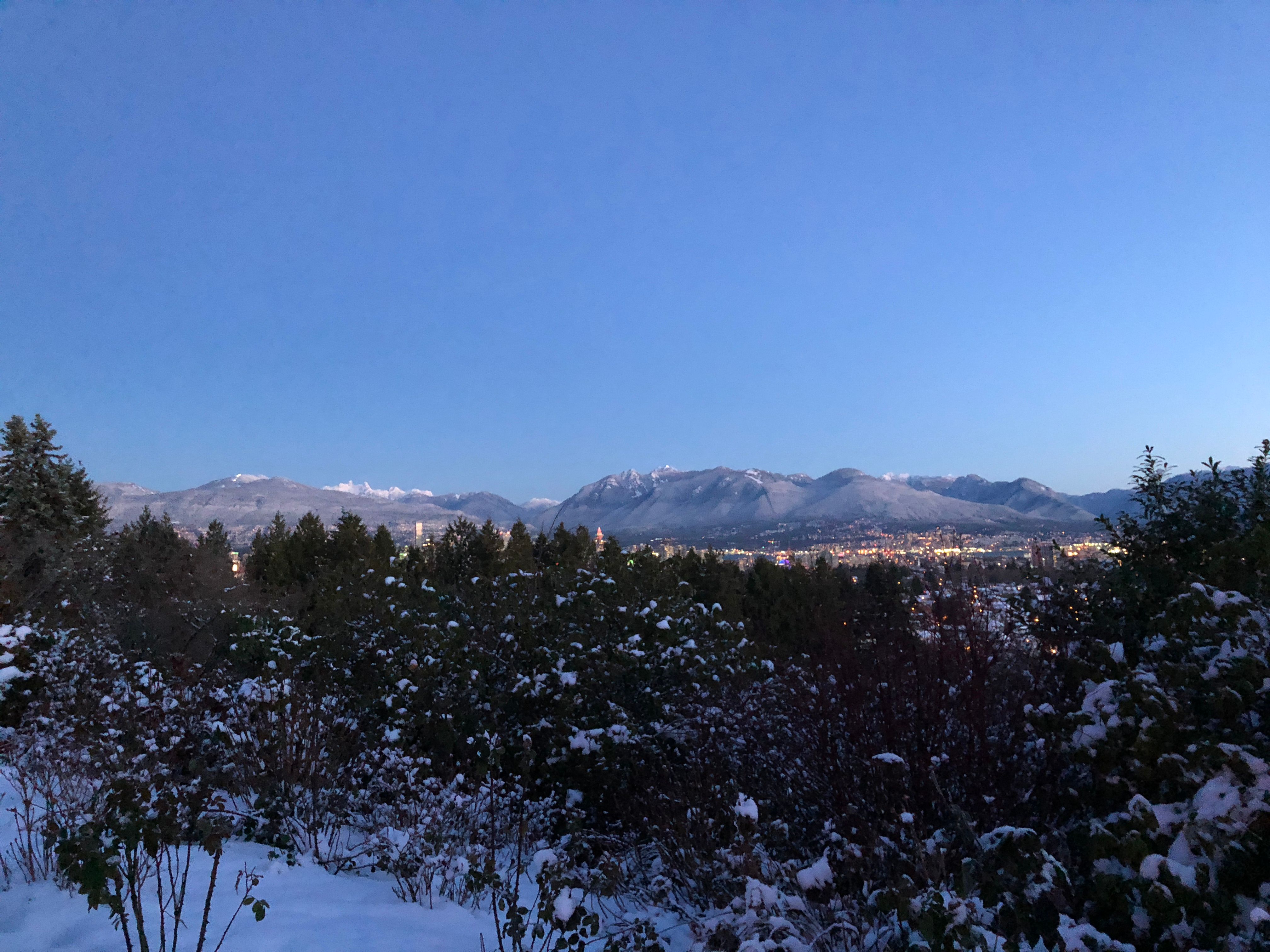 Overlooking Queen Elizabeth Park in the winter